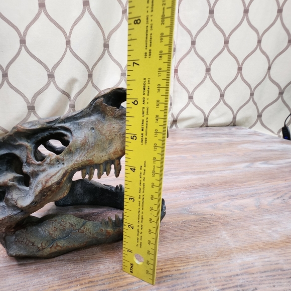 Dinosaur Faux Head for Children's Rokm or anywhere! - Picture 6 of 6